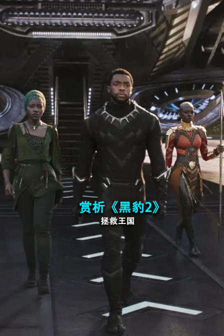 赏析黑豹2拯救王国