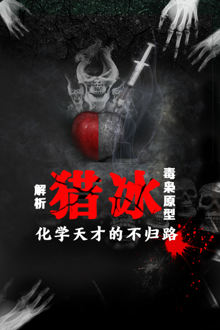 解析猎冰毒枭原型化学天才的不归路