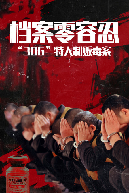 档案零容忍306”特大制贩毒案