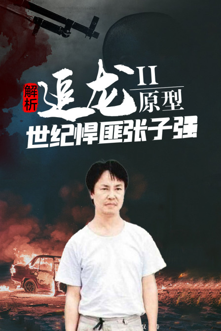解析追龙2原型世纪悍匪张子强