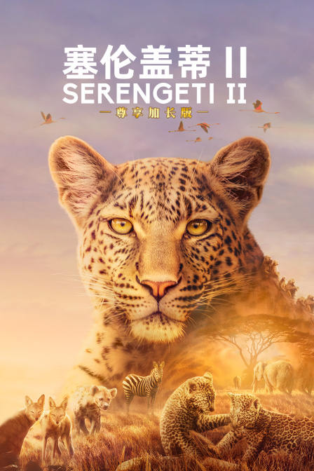 塞伦盖蒂第二季尊享加长版