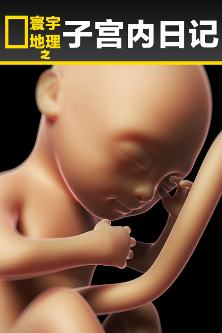 寰宇地理之子宫内日记