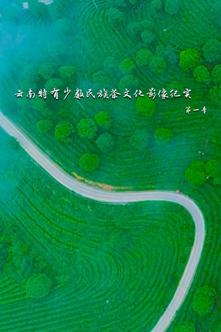 云南特有少数民族茶文化影像纪实第一季
