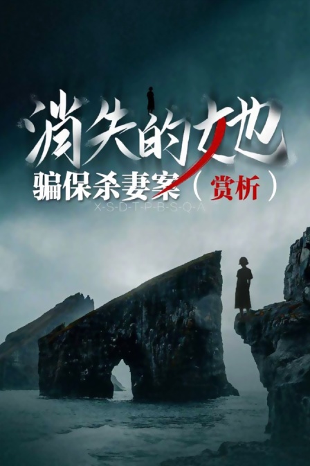 消失的她骗保杀妻案赏析