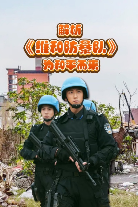 解析维和防暴队为和平而来