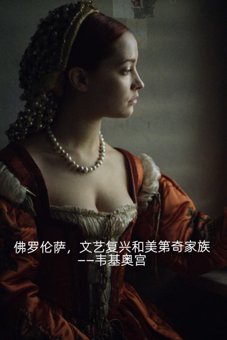 佛罗伦萨文艺复兴和美第奇家族韦基奥宫