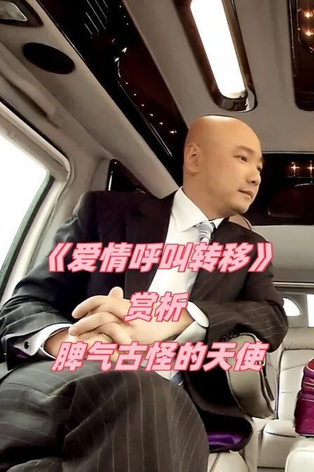 爱情呼叫转移赏析脾气古怪的天使