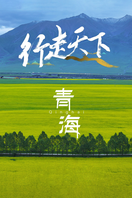 行走天下青海