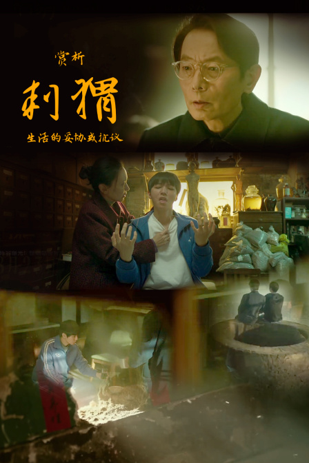 赏析刺猬生活的妥协或抗议