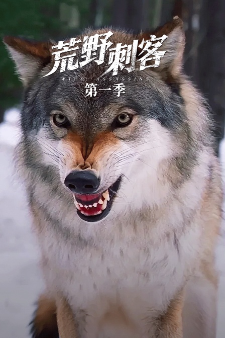 荒野刺客第一季