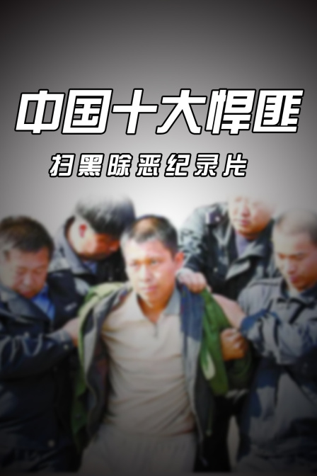 中国十大悍匪扫黑除恶纪录片