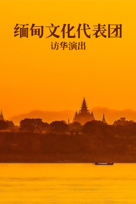 缅甸文化代表团访华演出