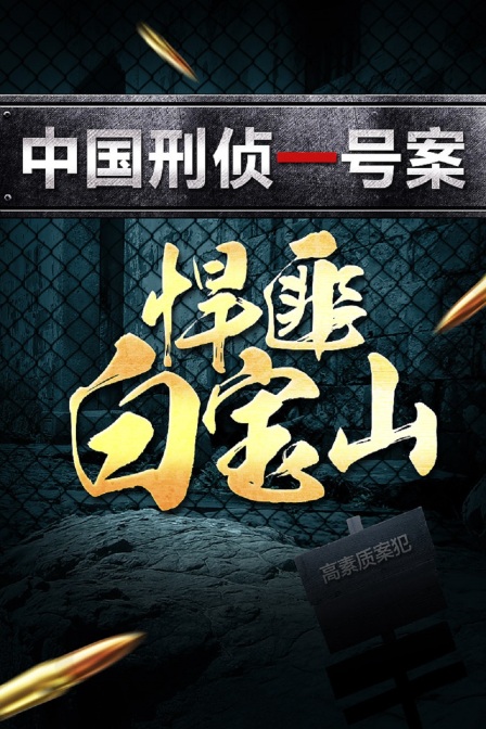 中国刑侦一号案悍匪白宝山