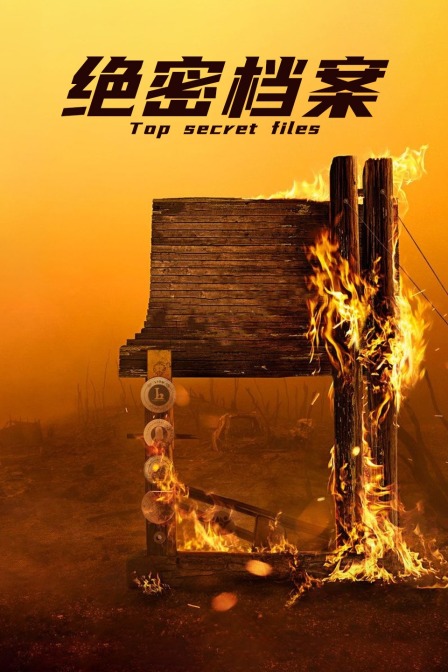 绝密档案