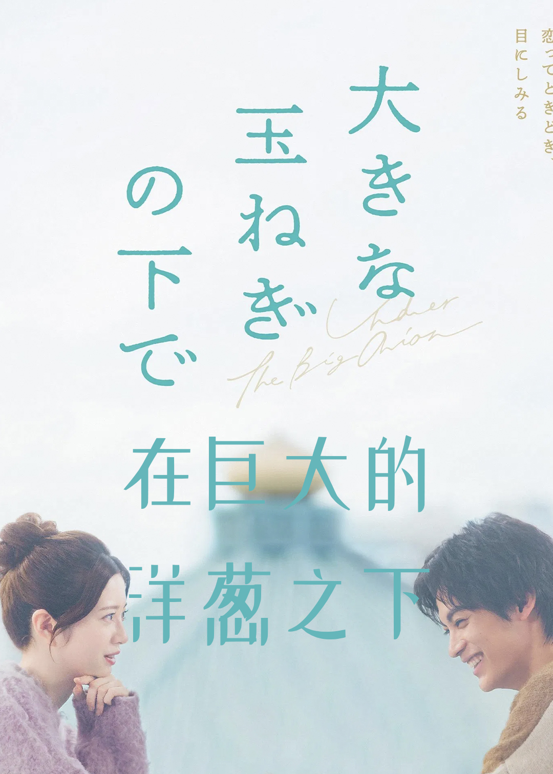 在巨大的洋葱之下