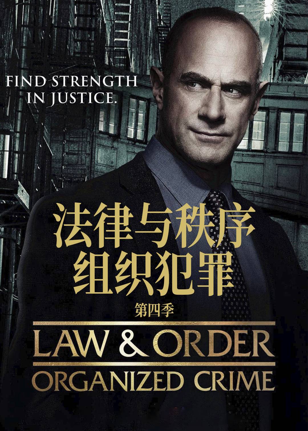 法律与秩序组织犯罪第四季