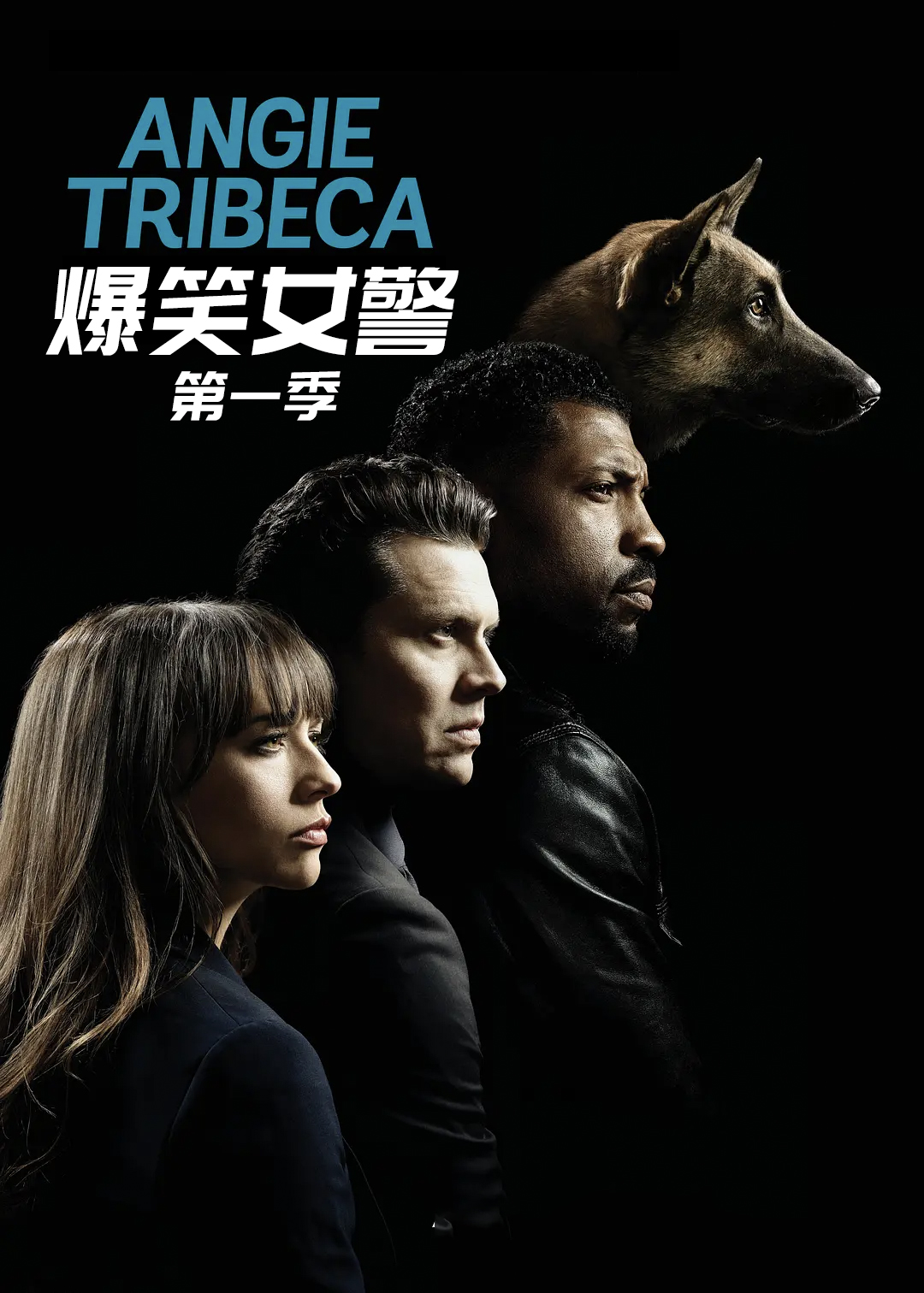 爆笑女警第一季