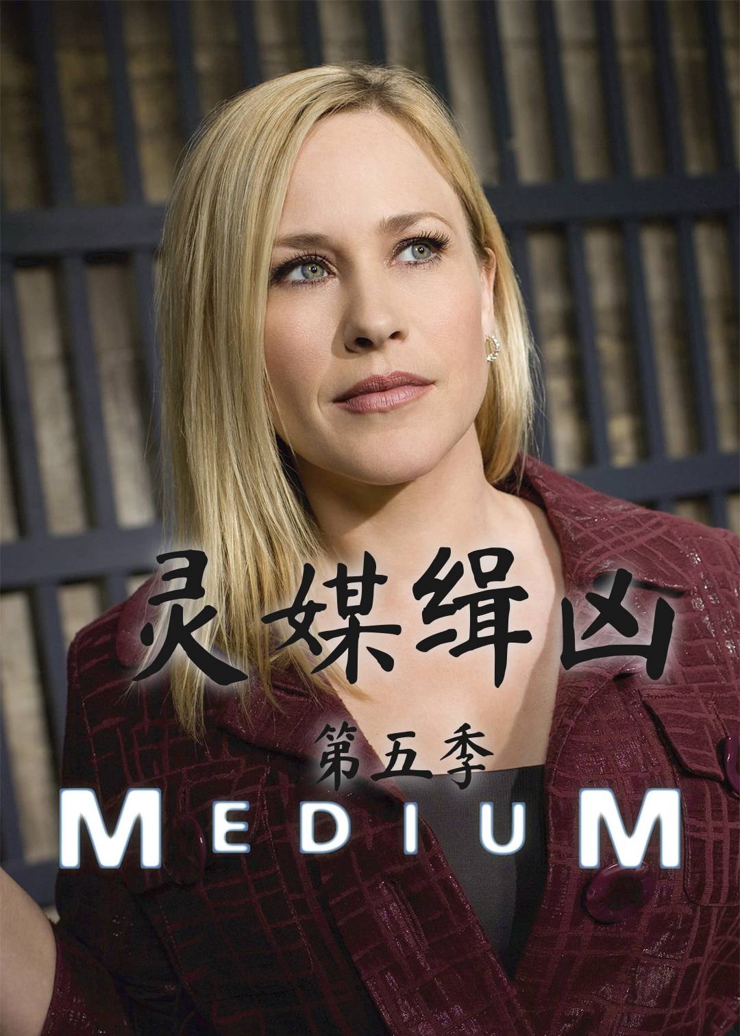 灵媒缉凶第五季