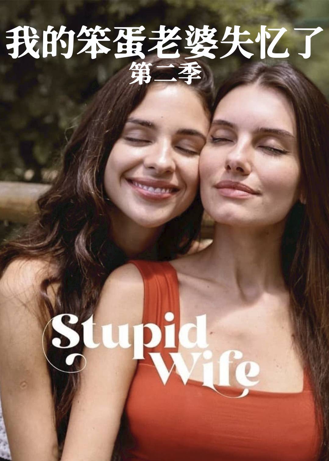 我的笨蛋老婆失忆了第二季