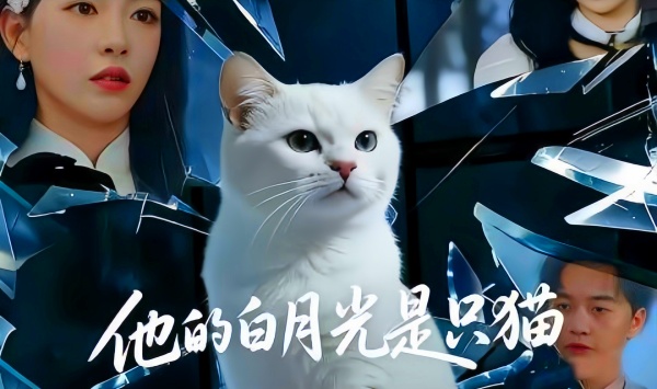 他的白月光是只猫