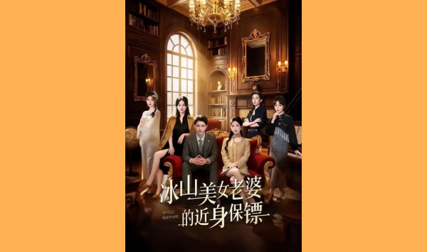 冰山美女老婆的近身保镖