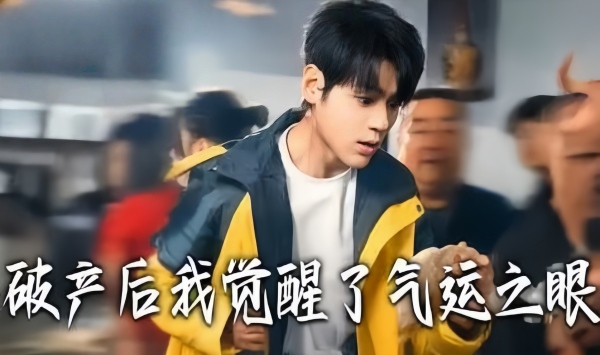 破产后我觉醒了气运之眼