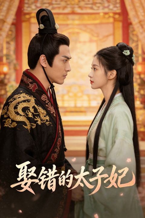娶错的太子妃