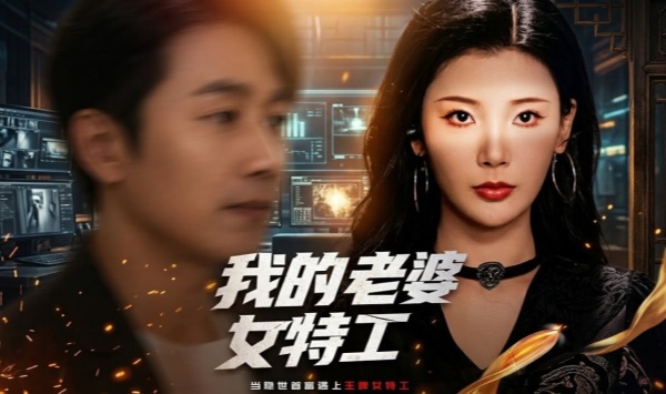 我的老婆女特工