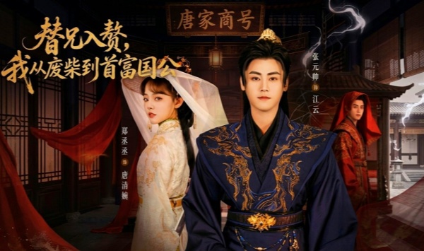 替兄入赘我从废柴到首富国公