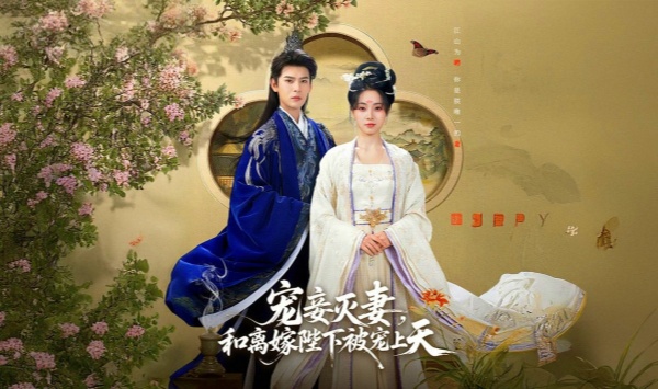 宠妾灭妻和离嫁陛下被宠上天