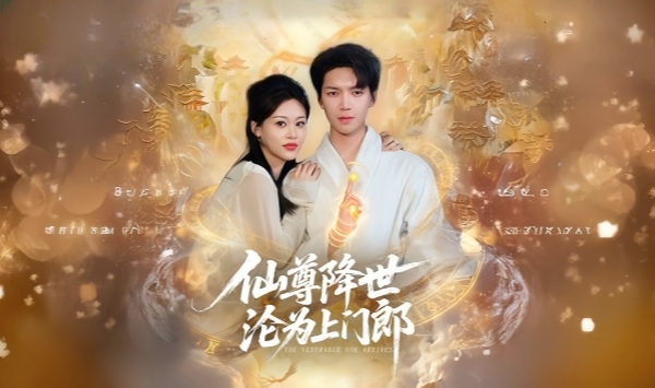 仙尊降世沦为上门郎