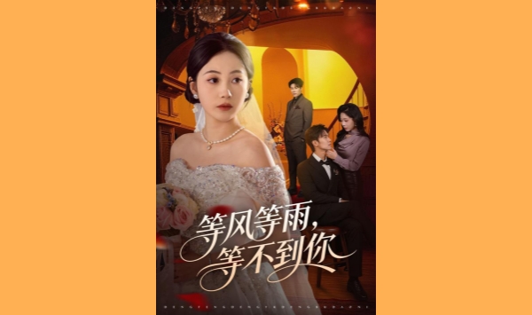 等风等雨等不到你