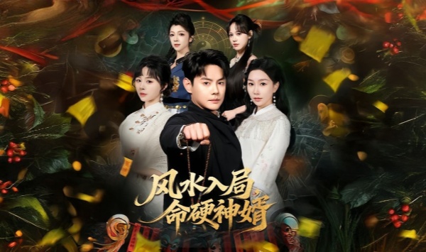 风水入局命硬神婿