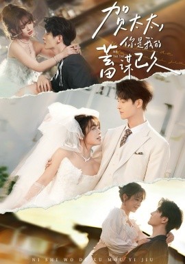 贺太太你是我的蓄谋已久