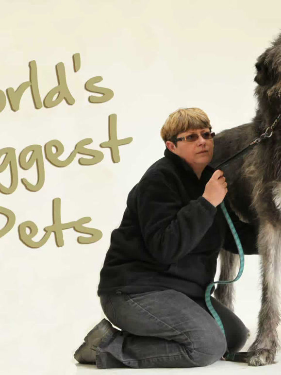 世界上最大的宠物