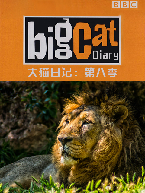 大猫日记第八季