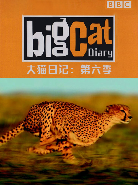 大猫日记第六季