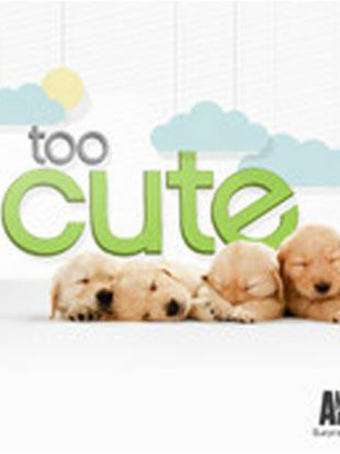 萌宠成长记第一季