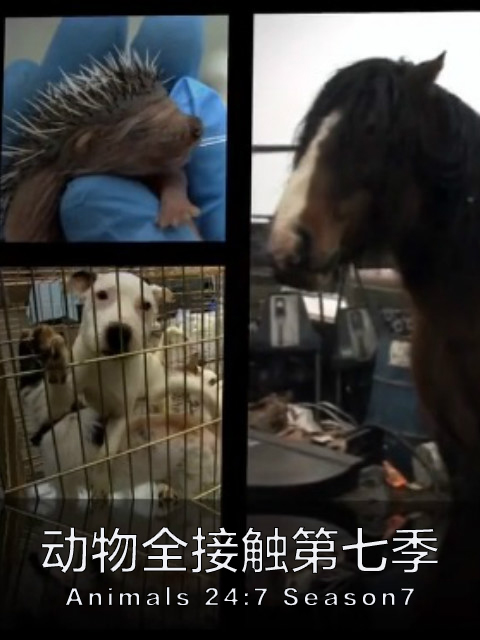 动物全接触第七季