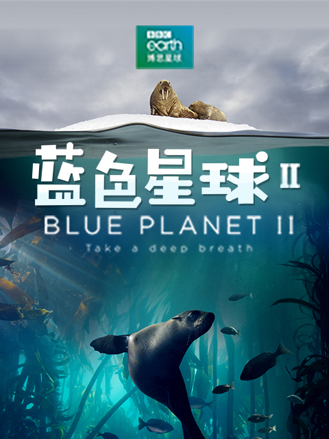 蓝色星球第二季