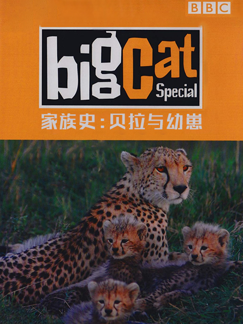 大猫日记家族史贝拉与幼崽