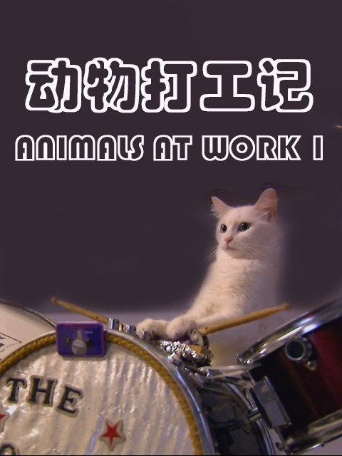 动物打工记第一季