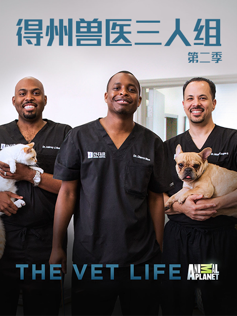 得州兽医三人组第二季