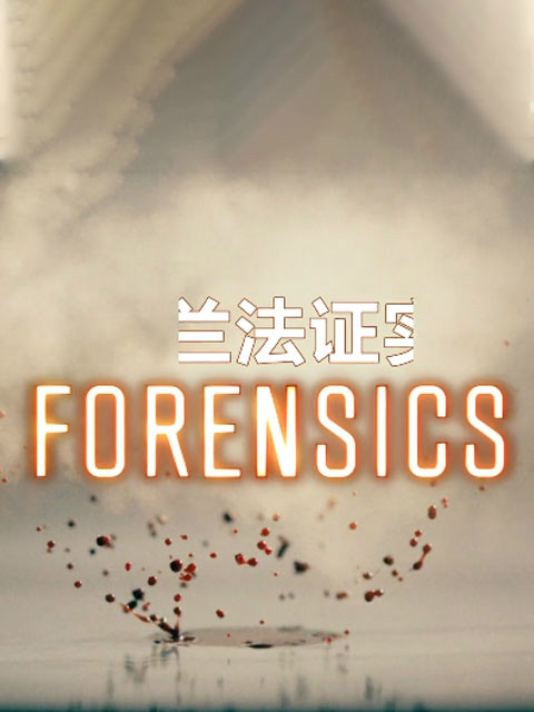 新西兰法证实录第一季