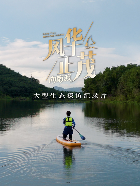 风华正茂第三季