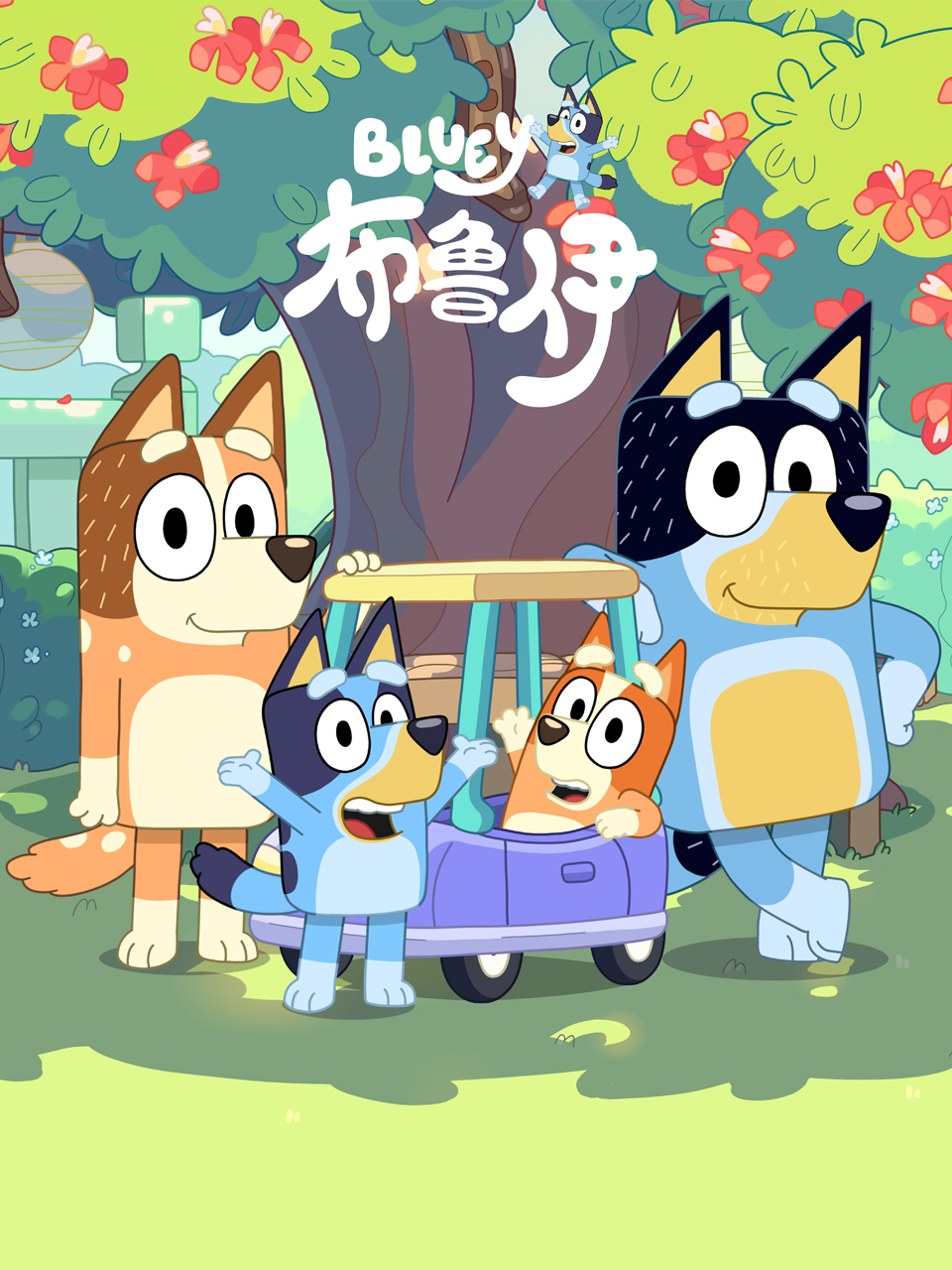 布鲁伊第二季配音