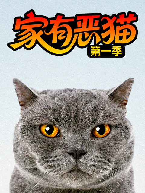家有恶猫第一季
