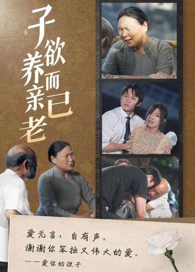 子欲养而亲已老