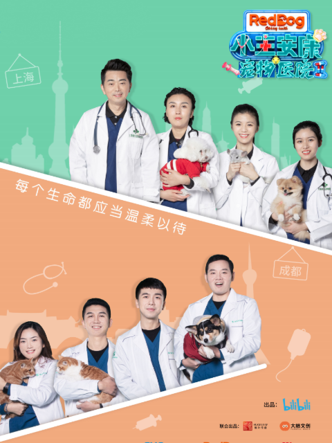 小主安康宠物医院2