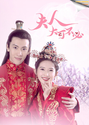 夫人大可不必印尼语字幕版